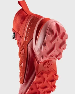 Cross High Fiery Red/Te Rose/Salsa