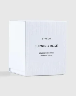 Fc Burning Rose 240G