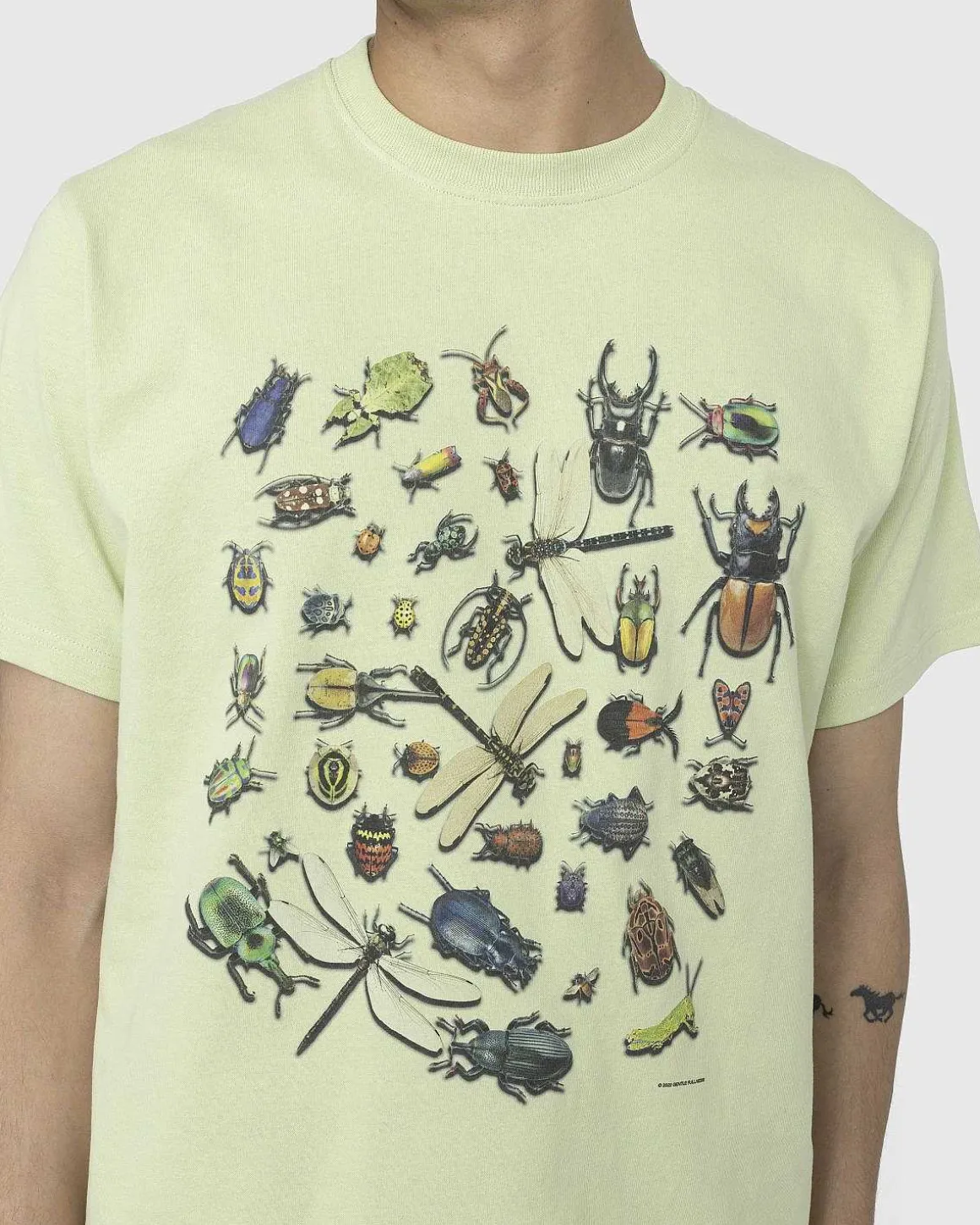 Genbrugt Bomuldsbugs T-Shirt Gron