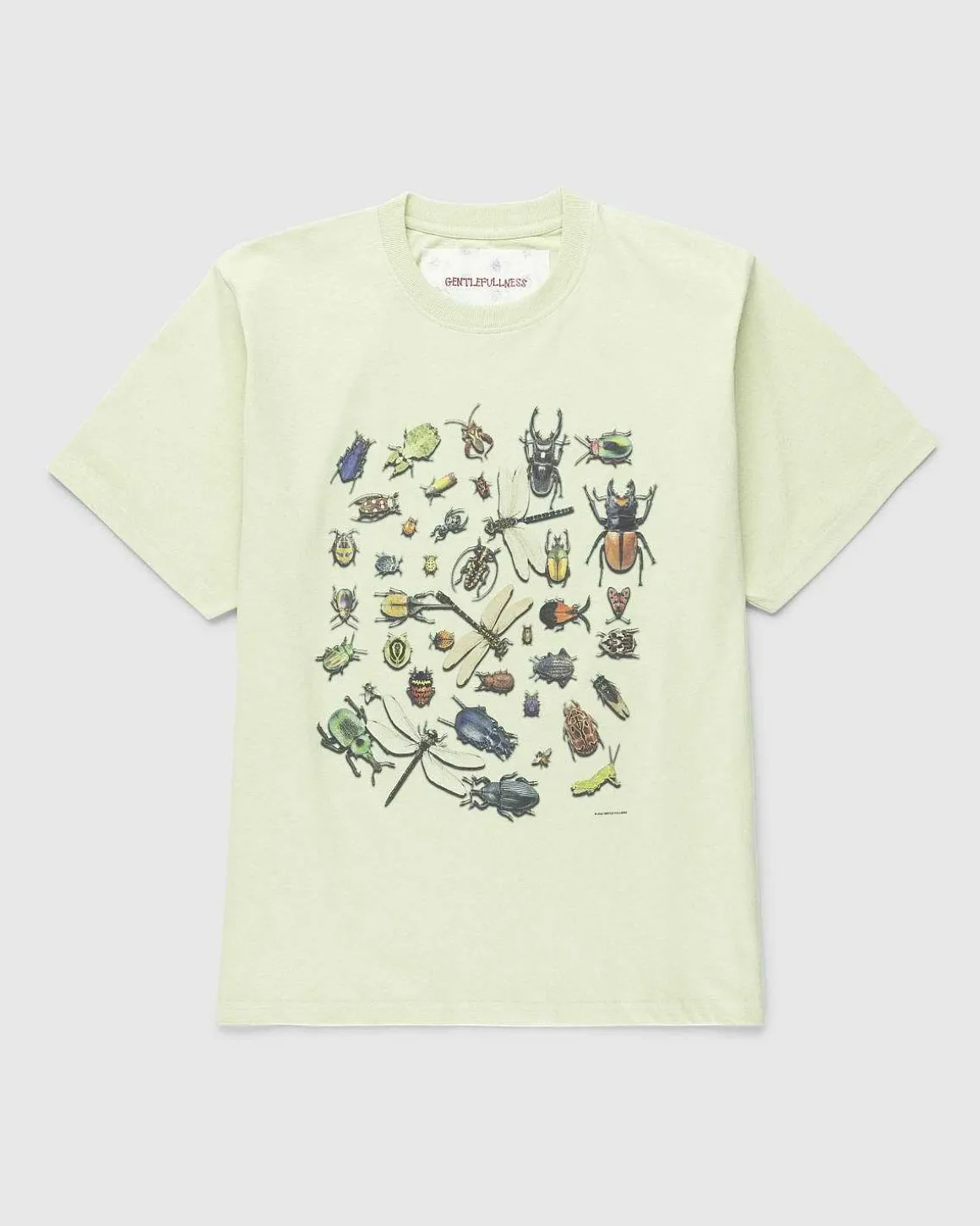 Genbrugt Bomuldsbugs T-Shirt Gron