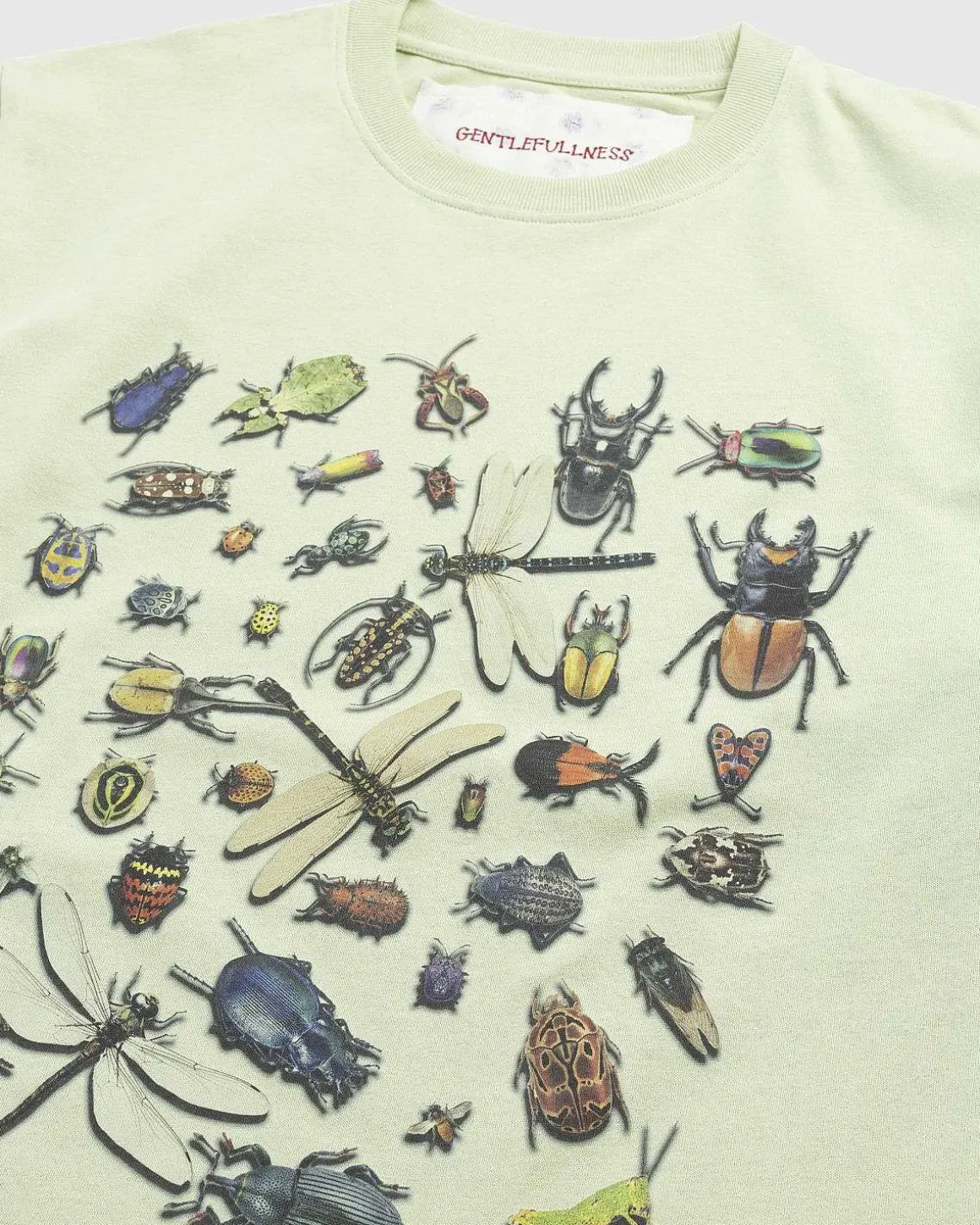 Genbrugt Bomuldsbugs T-Shirt Gron