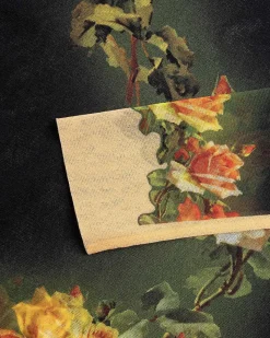 Lange Aermer Med Rund Hals "Fleurs Petit Grand" Beige