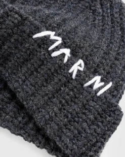 Logo Beanie Gra