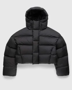 Mml Hooded Puffer Pupil