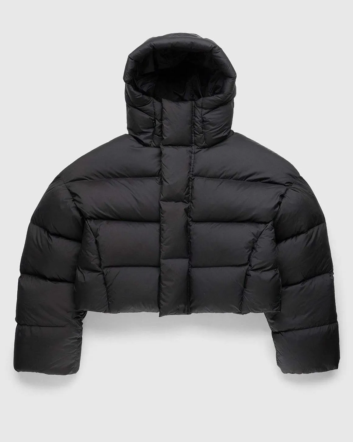 Mml Hooded Puffer Pupil