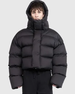 Mml Hooded Puffer Pupil