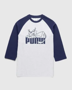 Raglan Langaermet Gra