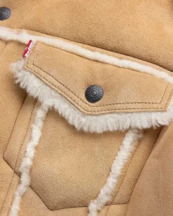 Shearling Trucker Jacket Olympia Mountain