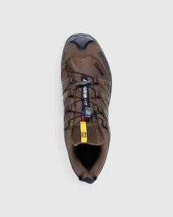 Xa Pro 3D Gore-Tex Brun