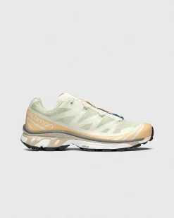Xt-6 Aloe Wash/Hasselnod/Fjergra