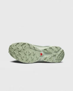 Xt-6 Gtx Desert Sage/Lily Pad/Laurel Wreath
