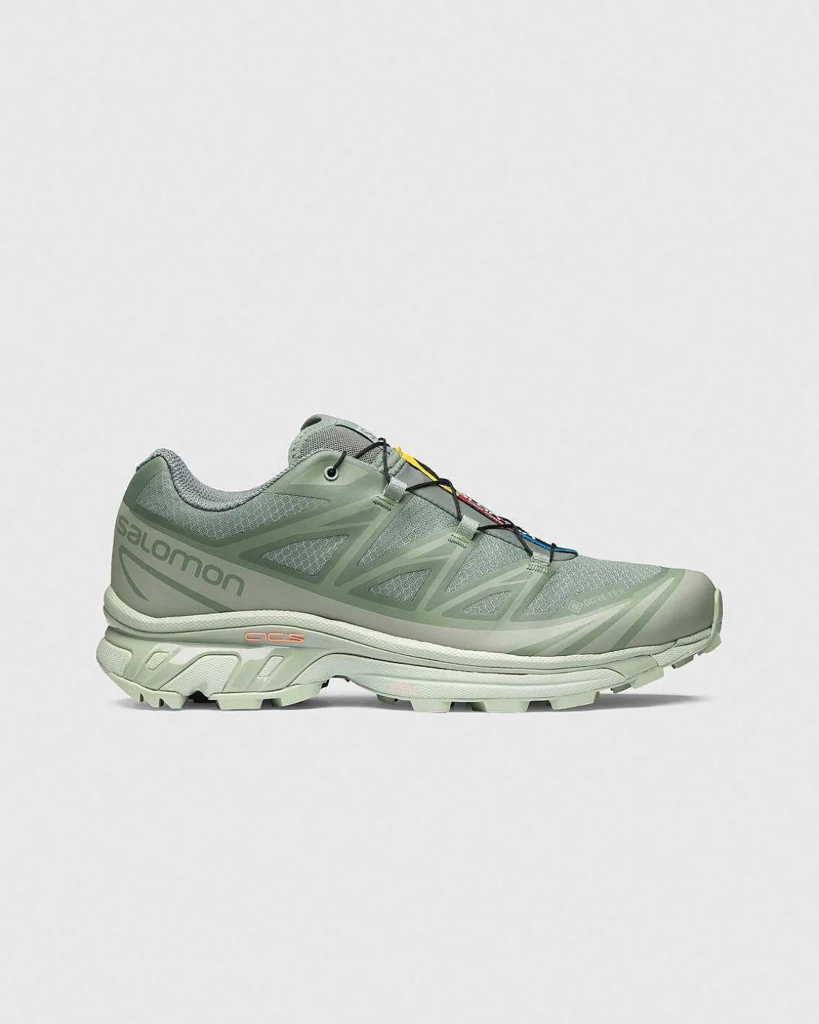Xt-6 Gtx Desert Sage/Lily Pad/Laurel Wreath